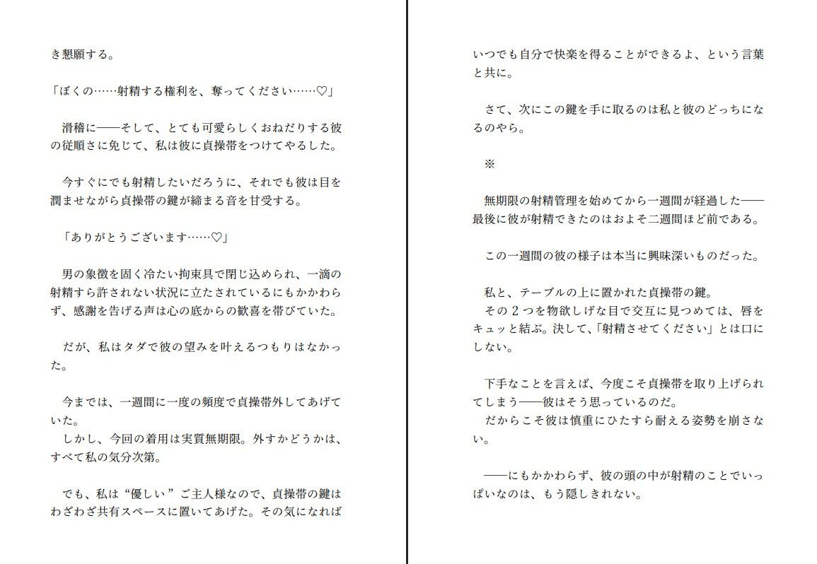 飼い犬系彼氏と喧嘩して仲直りする〜射精する権利を奪ってくださいと懇願する彼の望みが健気すぎたので射精できない彼をたくさんいじめてあげようと思います〜