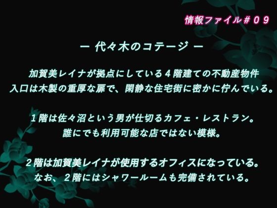 加賀美レイナに堕ちた童貞マゾの回顧録03 ー 背徳の自慰行為 ー