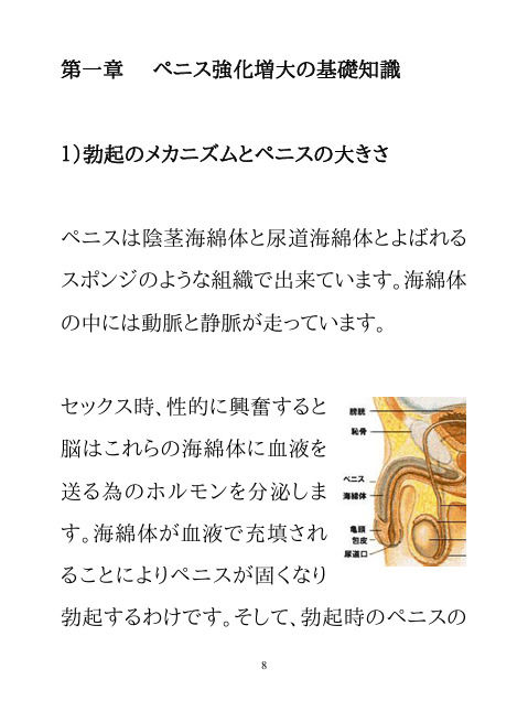 男のパワーアップ・トレーニング