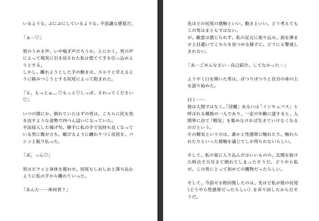 不法侵入したインキュバスから魔法のエログッズを貰ったので射精禁止した身体を弄んだあと強●射精させまくる話
