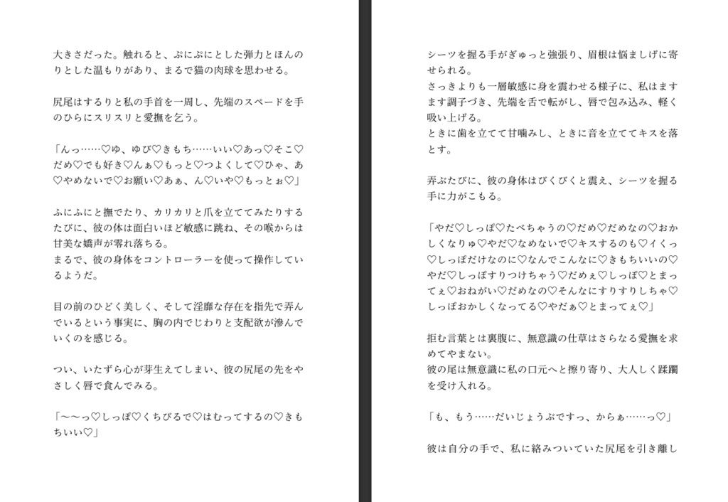 不法侵入したインキュバスから魔法のエログッズを貰ったので射精禁止した身体を弄んだあと強●射精させまくる話