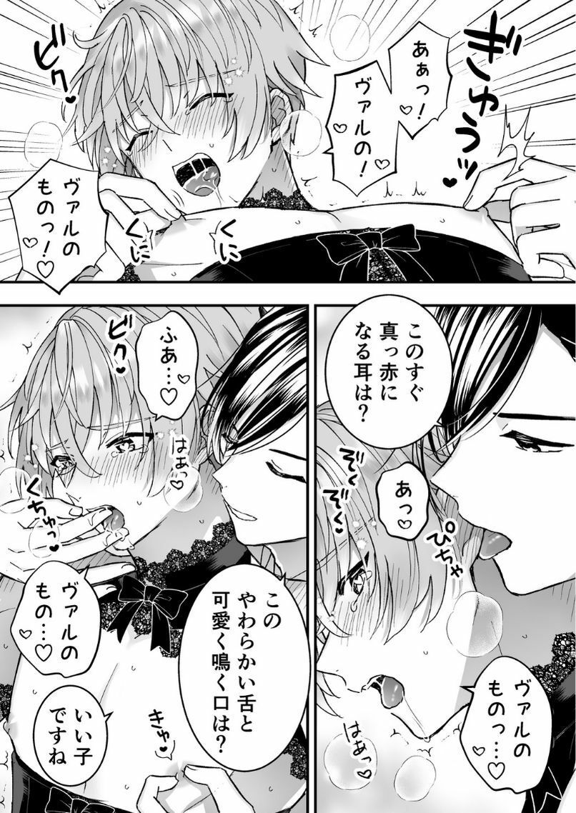 男騎士だったけど鬼の宰相の愛玩動物（ペット）になりました（3）