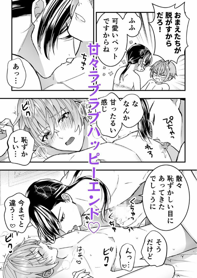 男騎士だったけど鬼の宰相の愛玩動物（ペット）になりました（3）