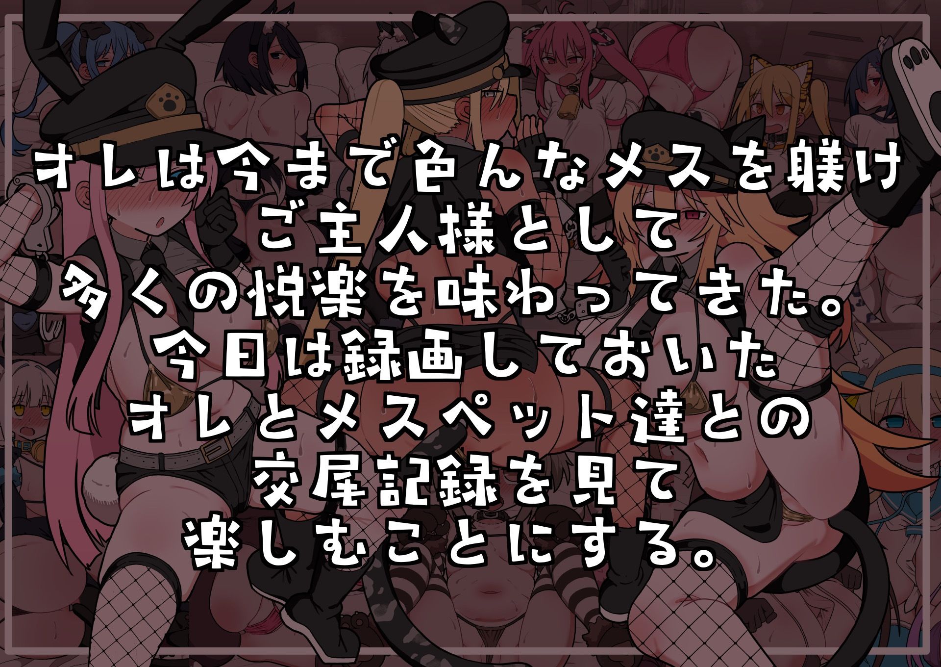 メスペットちゃん交尾記録vol.1