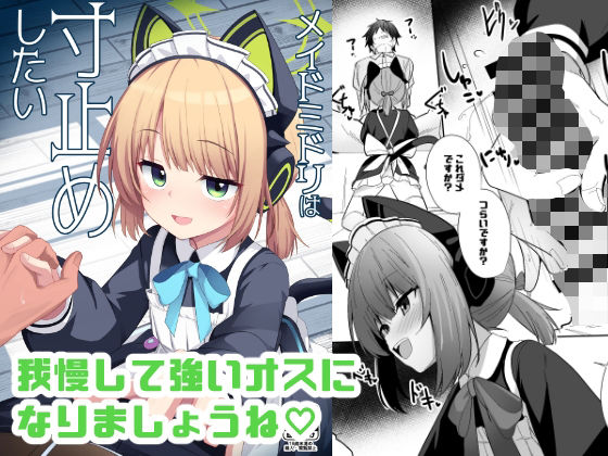 メイドミドリは寸止めしたい
