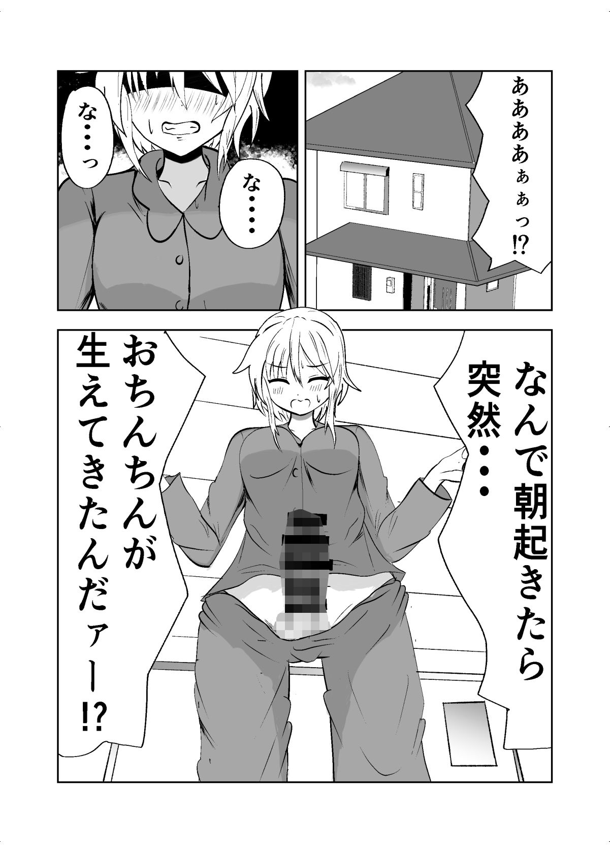 お姉ちゃんにおちんちんが生えちゃった！？