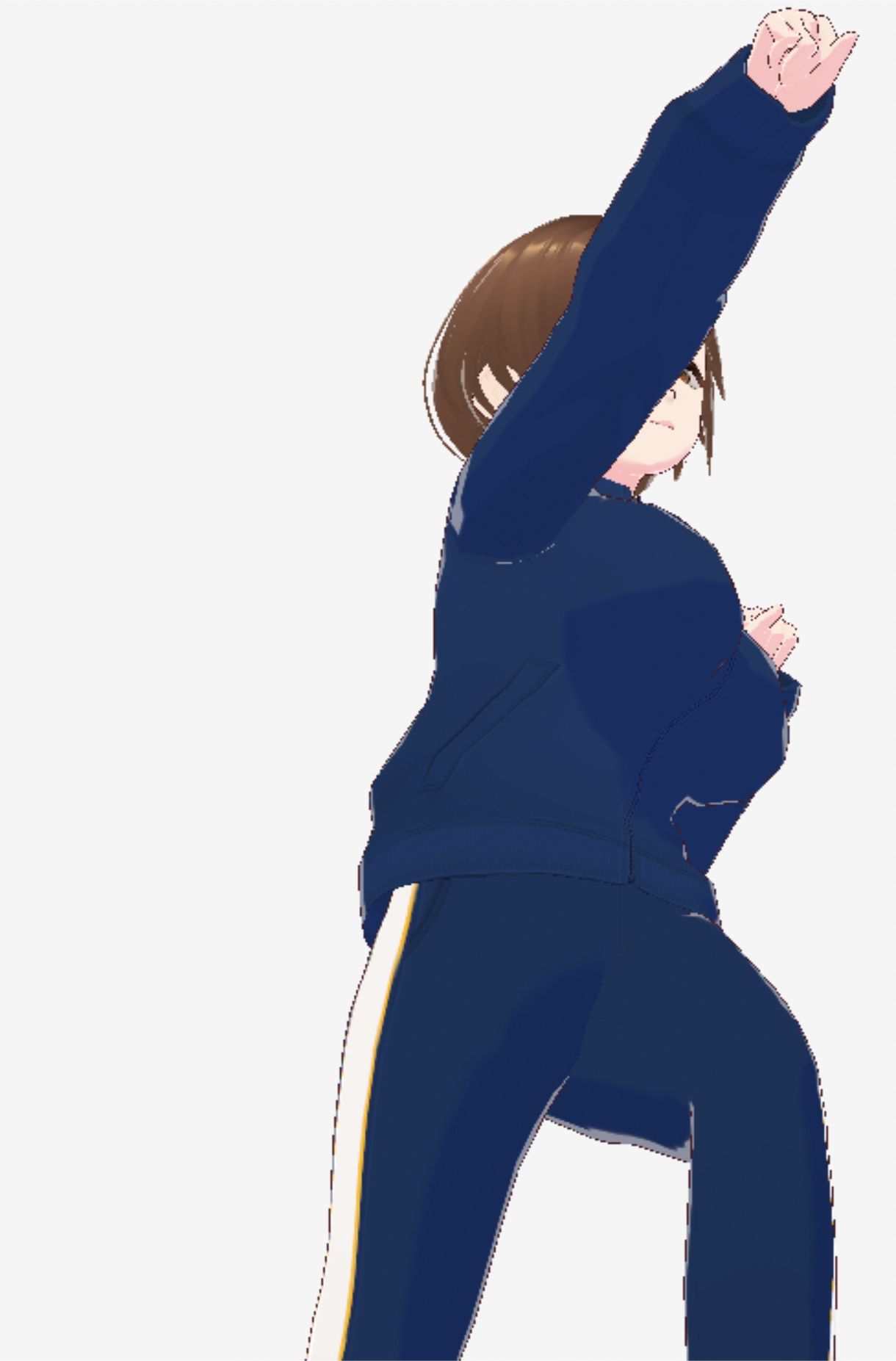 格闘好きな巨乳のジャージ姿のお姉さん（セリフなし 3DCGモデル イラスト集）