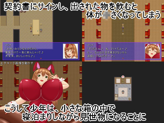 BBフェスティバル