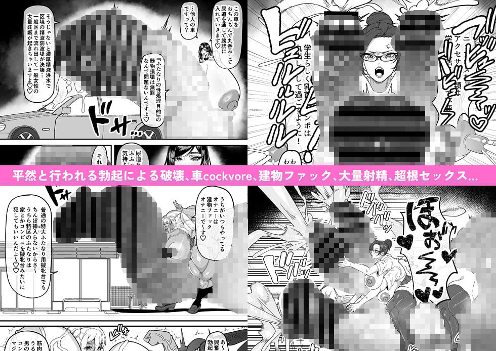 ふたなり特区調査報告書