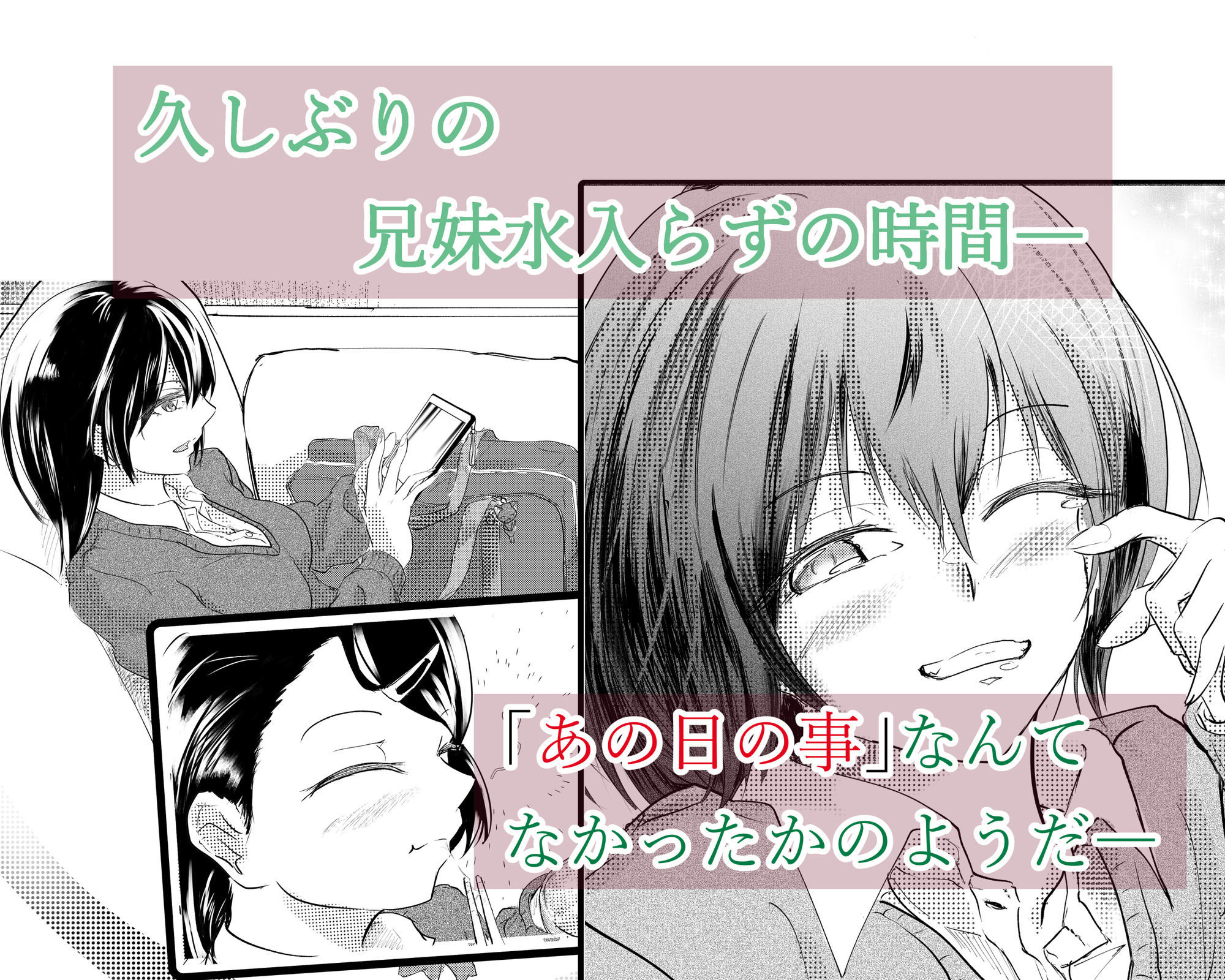わたしたちおかしいんだよ お兄ちゃん ―常識から外れてもあなたが欲しい―