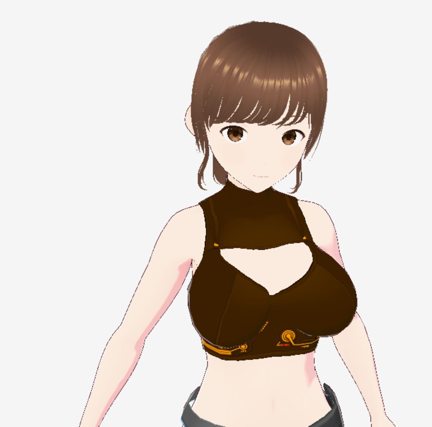 戦ってるようなファッションブラの巨乳美女（セリフなし 3DCGモデル イラスト集）
