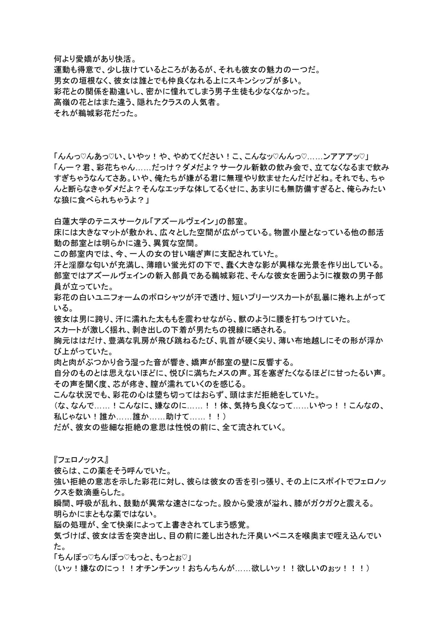 潜入捜査官 白木舞