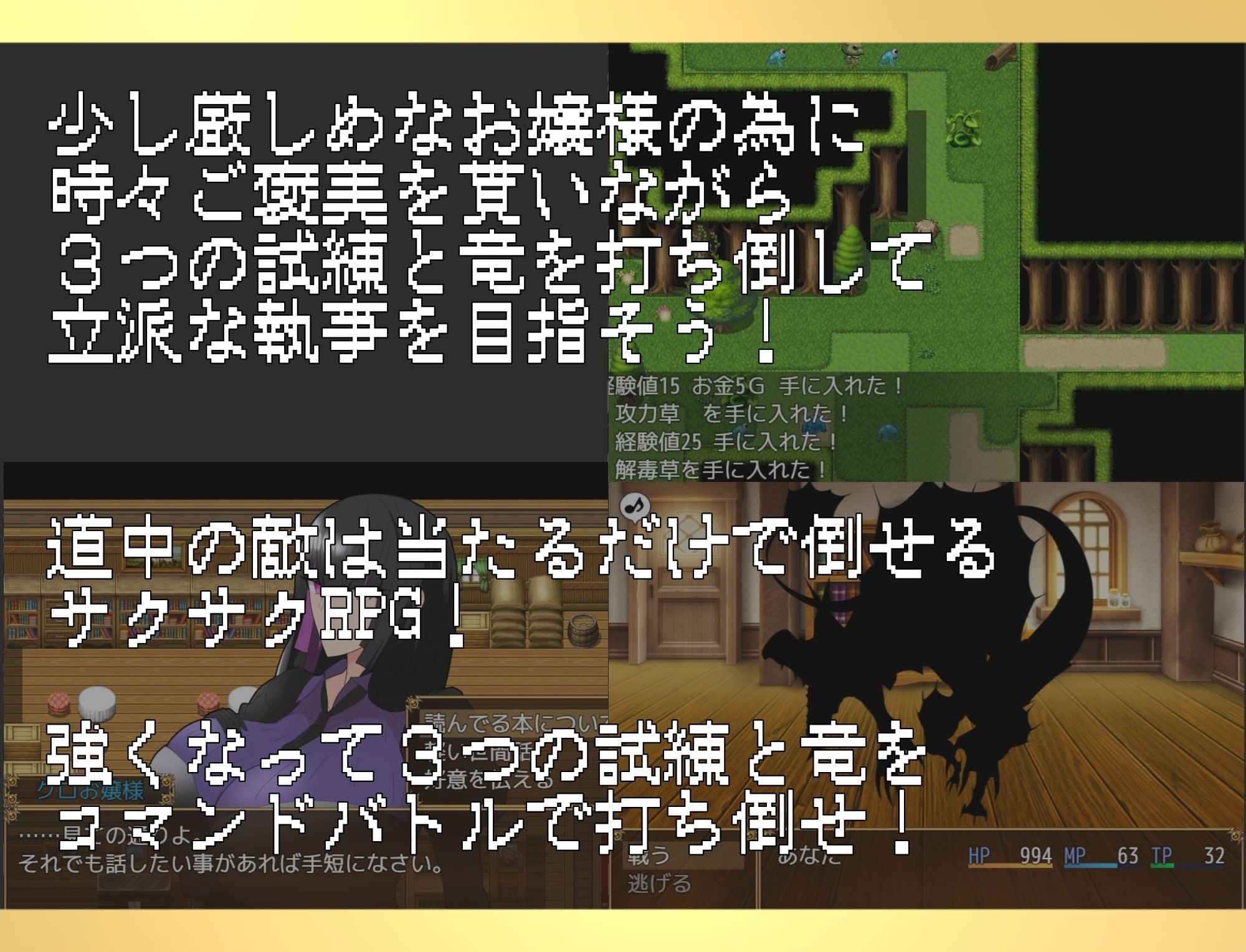 黒のお嬢様と見習い執事