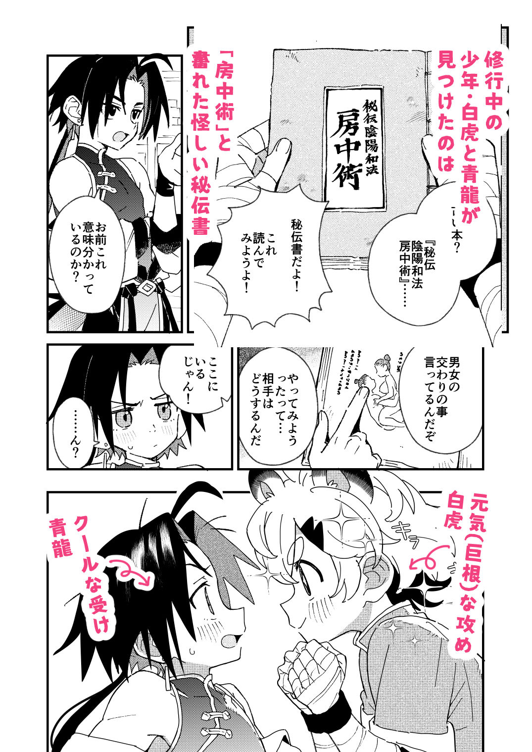 白虎くんと青龍4〜房中術編〜