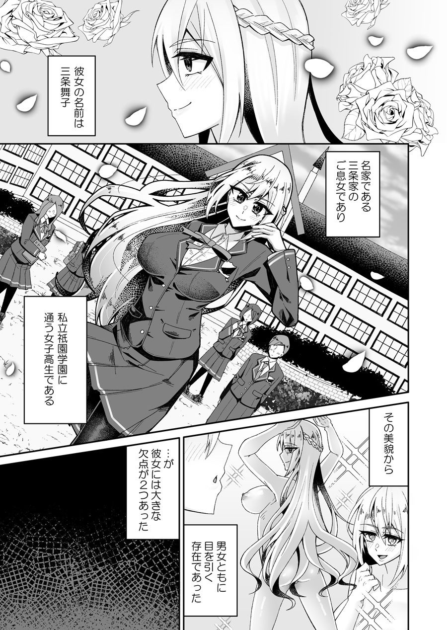 とある令嬢の分裂日常