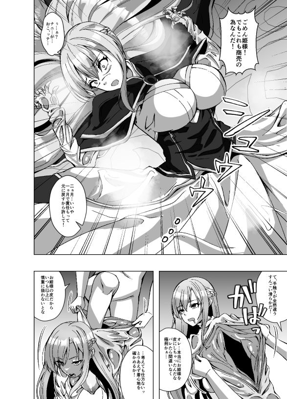 転生スキンライフ2〜変身スキン屋大繁盛!看板商品はお姫様の皮!?〜