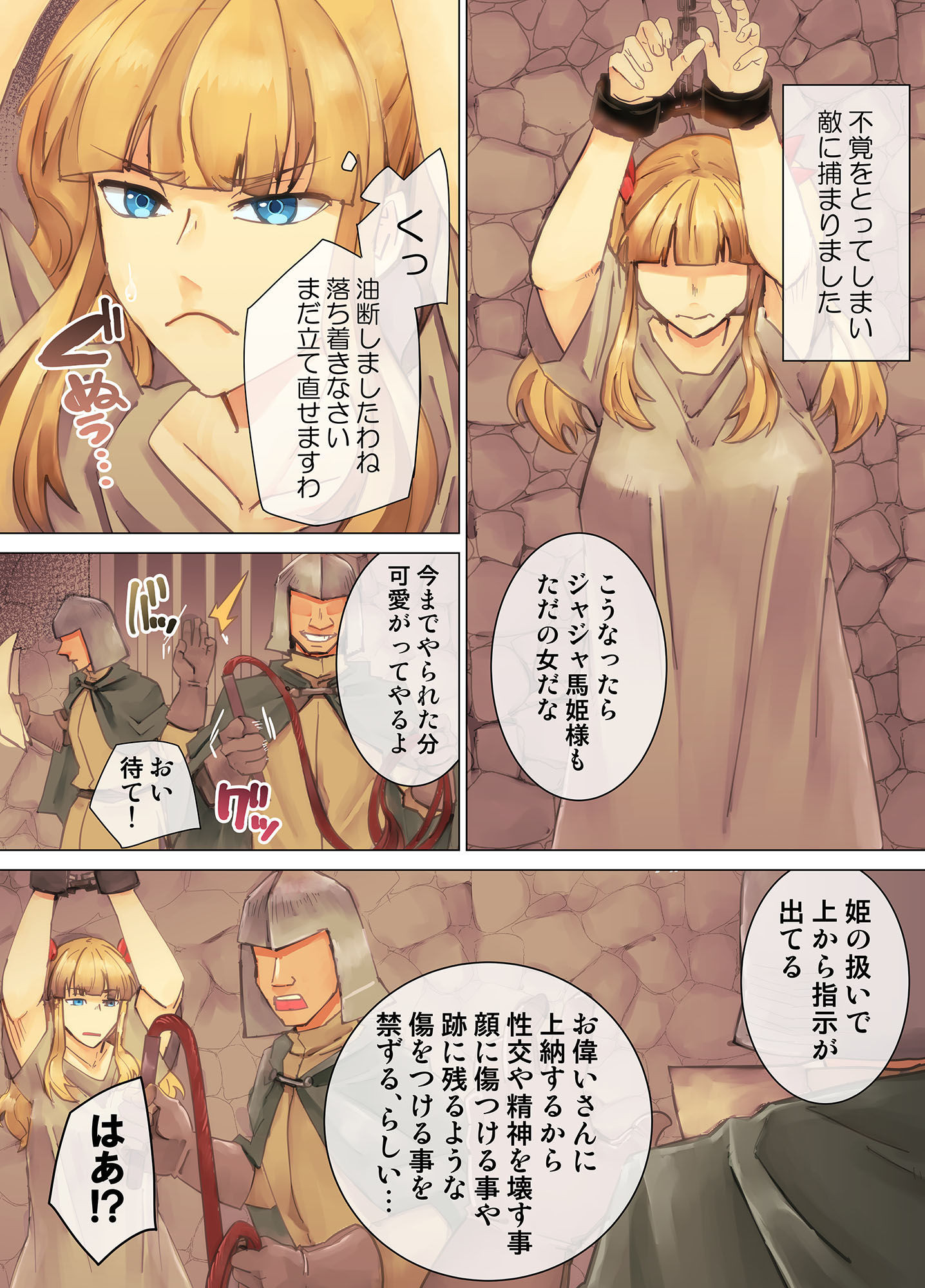 囚われ姫騎士 強●胸辱