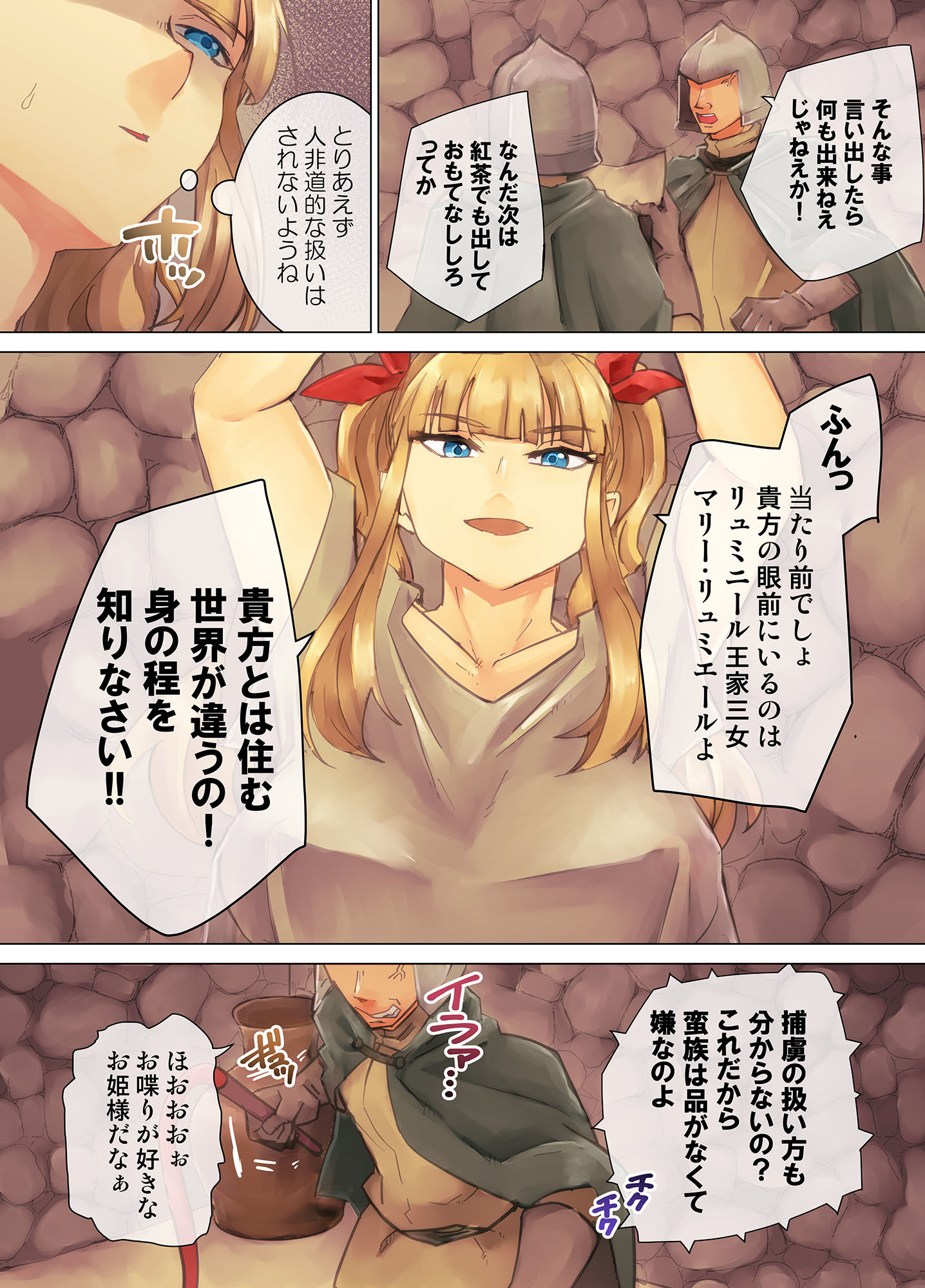 囚われ姫騎士 強●胸辱
