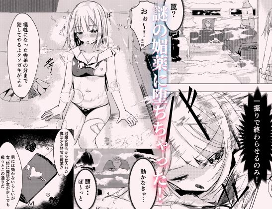 魔法少女 犯ったり犯られたり