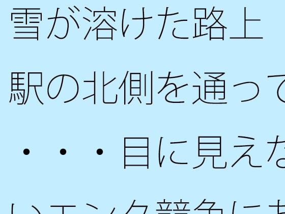 雪が溶けた路上 駅の北側を通って・・・・目に見えないエンタ競争にあっぷあっぷしながら