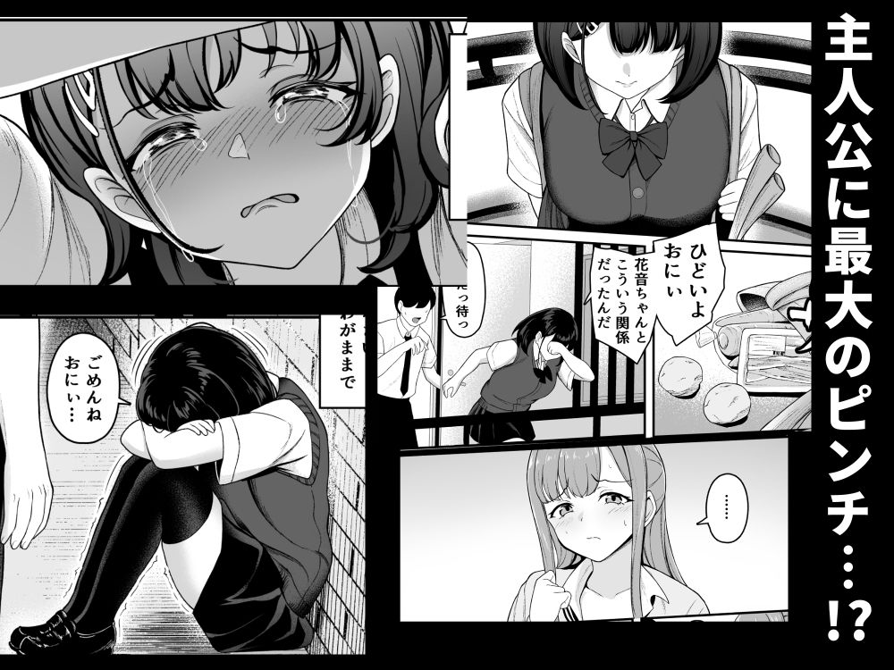 お家ハーレム！？ Sっ気の義妹とMっ気の幼馴染！