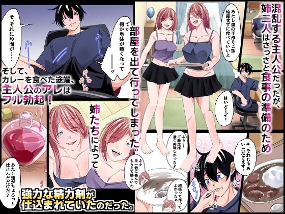 『特別ご奉仕価格』ブラコンのお姉ちゃんたちと。双子の姉たちが大事に取っておいた処女を貰って欲しいと誘惑してくる最高の夏休み!