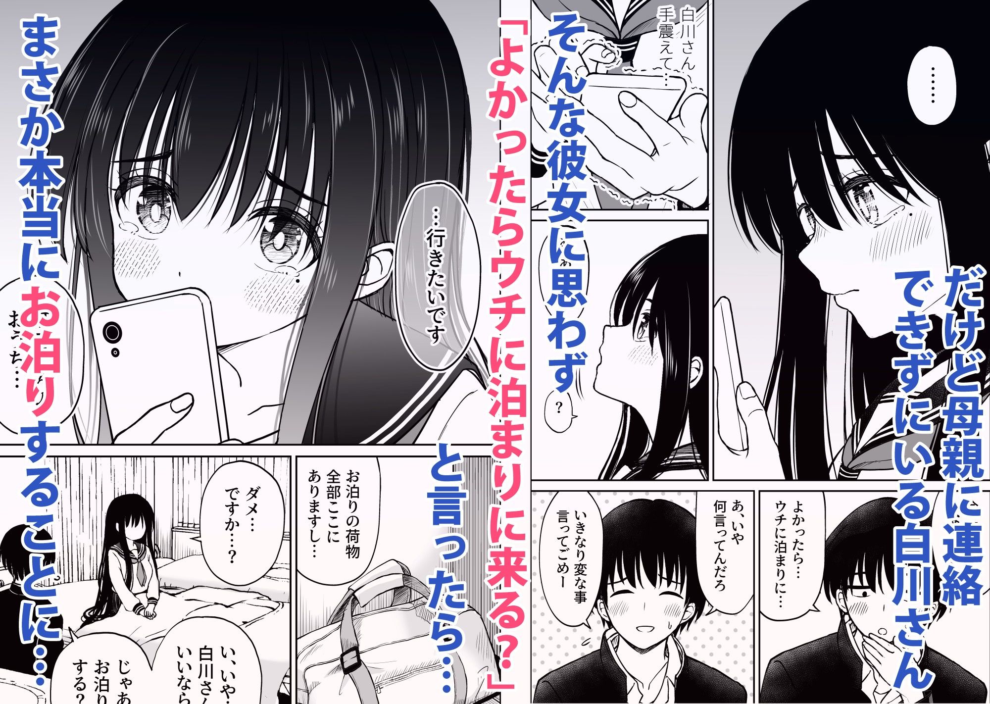 裏修学旅行日記〜青春できない僕らの、秘密の2泊3日〜