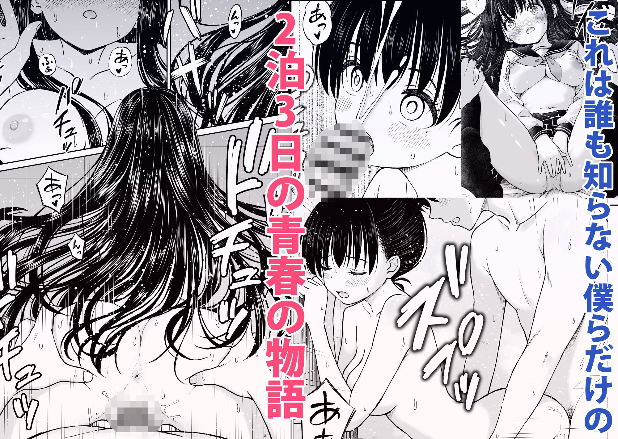 裏修学旅行日記〜青春できない僕らの、秘密の2泊3日〜