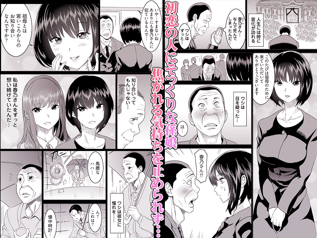 復讐されるべき地雷女 -時間停止でヤリタイホウダイ 2