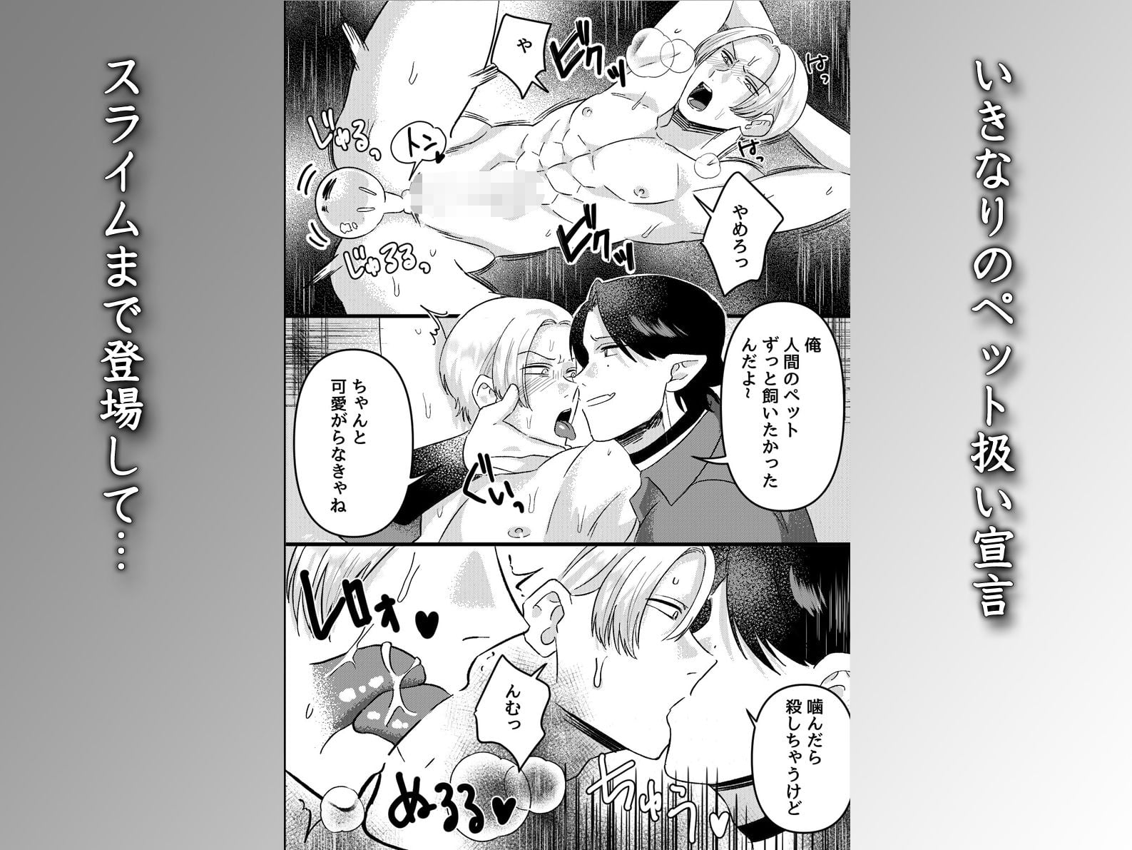 魔族双子スライム姦ペット調教 〜異世界貴族アナル二輪挿しメスイキ連続絶頂〜