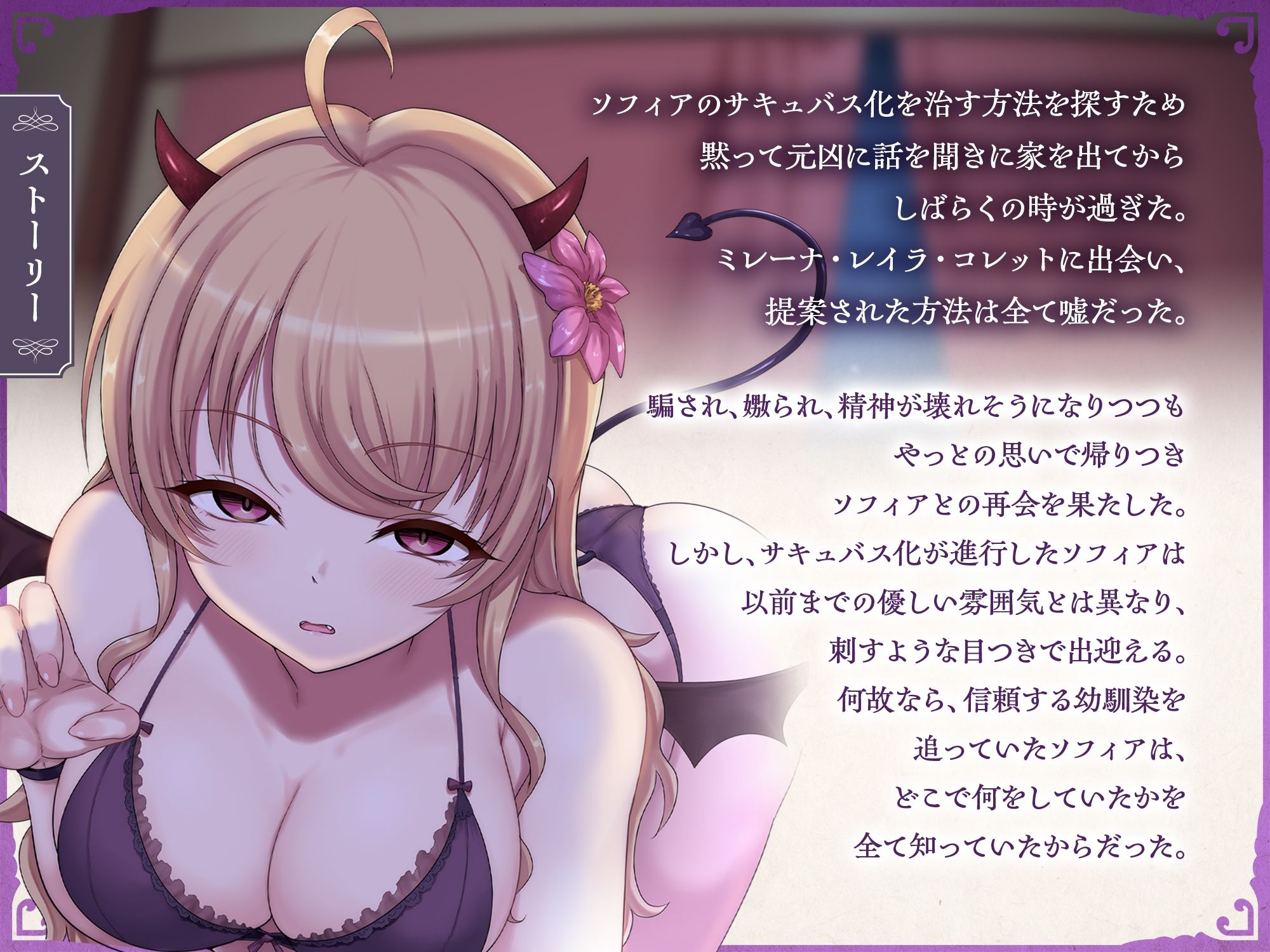 サキュバスクロニクル 〜ソフィアの願い〜