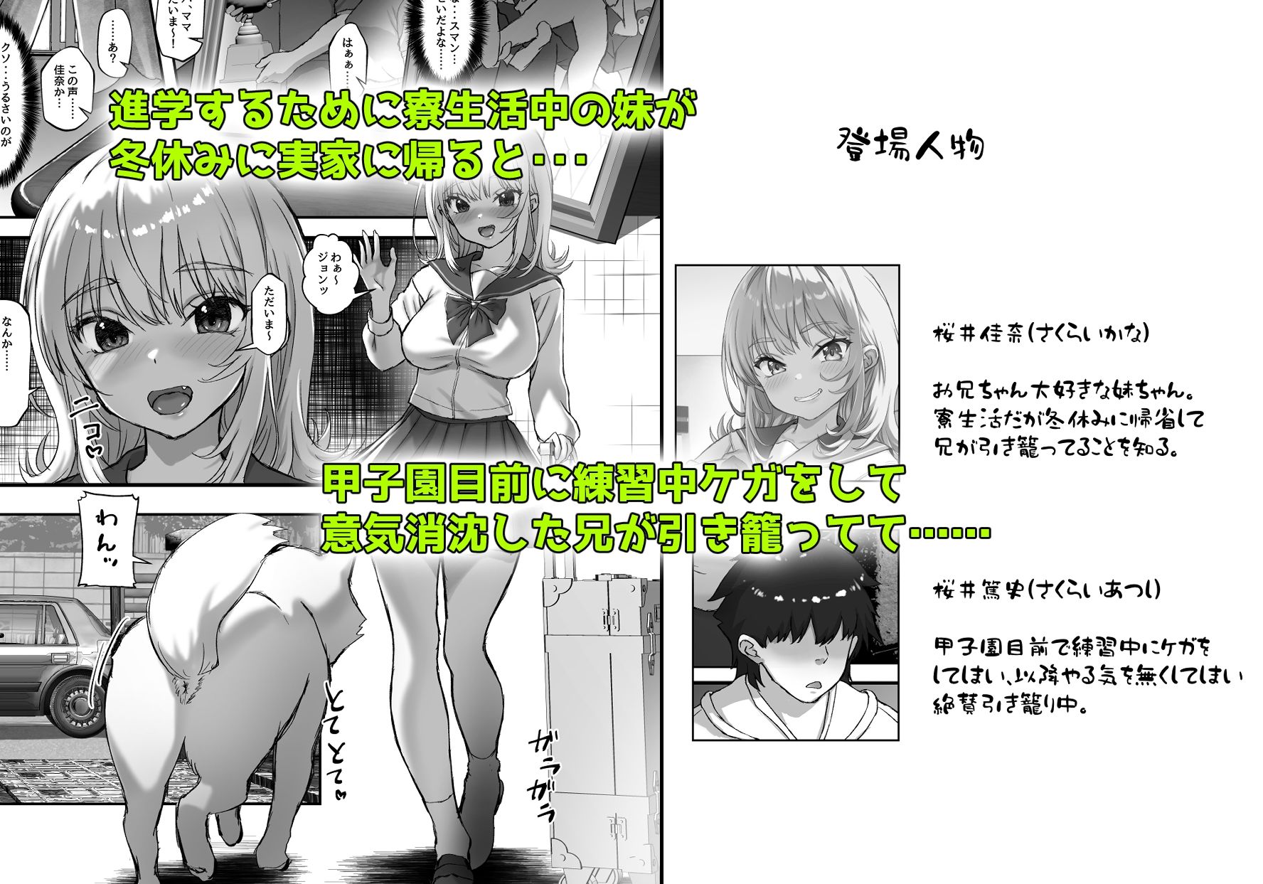 巨乳ちゃんなお兄ちゃん好き好き妹J系がヘタレ兄貴をおま〇こ使って更生させちゃう話。