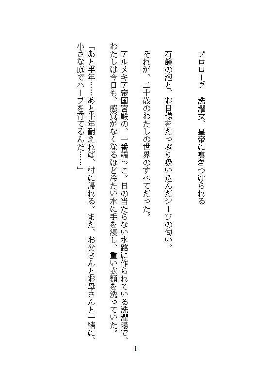 完璧に洗わなきゃ気が済まない地味な洗濯女ですが、皇帝に一晩で48回も連続絶頂を刻まれ、魔性の皇后に磨き上げられました。