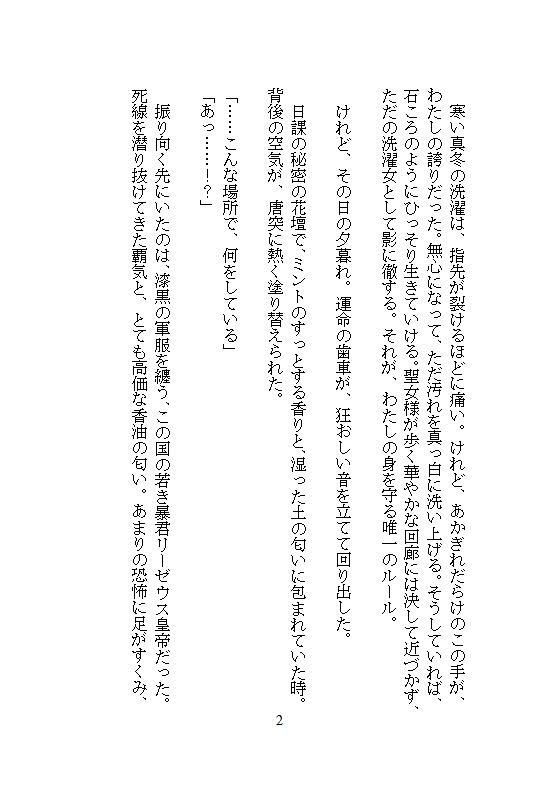 完璧に洗わなきゃ気が済まない地味な洗濯女ですが、皇帝に一晩で48回も連続絶頂を刻まれ、魔性の皇后に磨き上げられました。