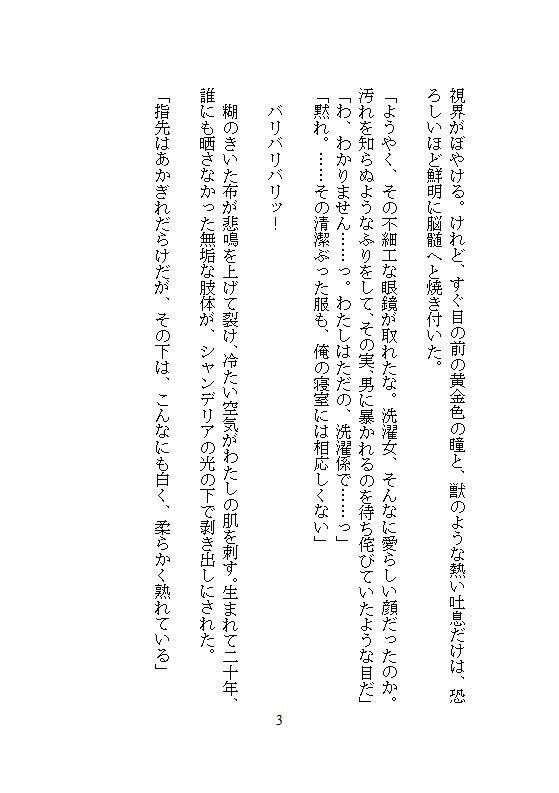 完璧に洗わなきゃ気が済まない地味な洗濯女ですが、皇帝に一晩で48回も連続絶頂を刻まれ、魔性の皇后に磨き上げられました。