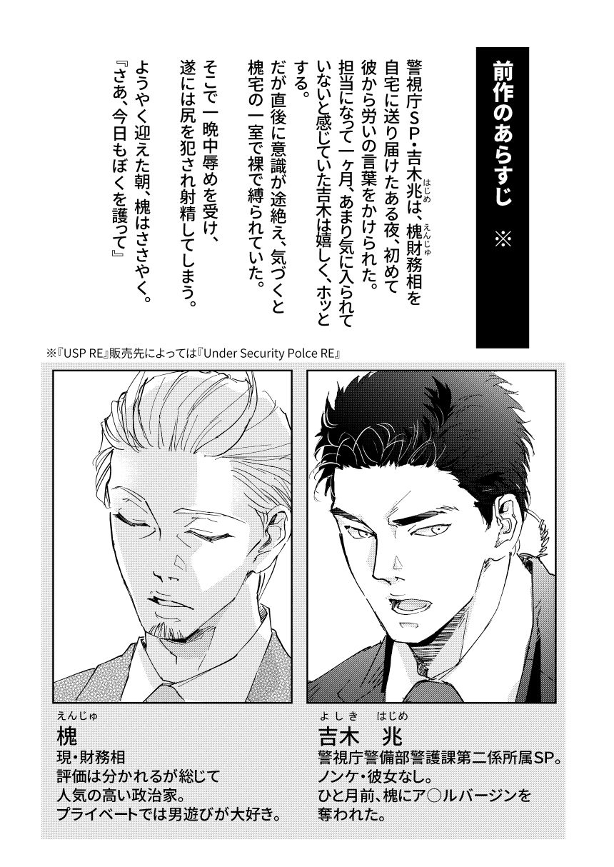 UnderSecurityPolice SR