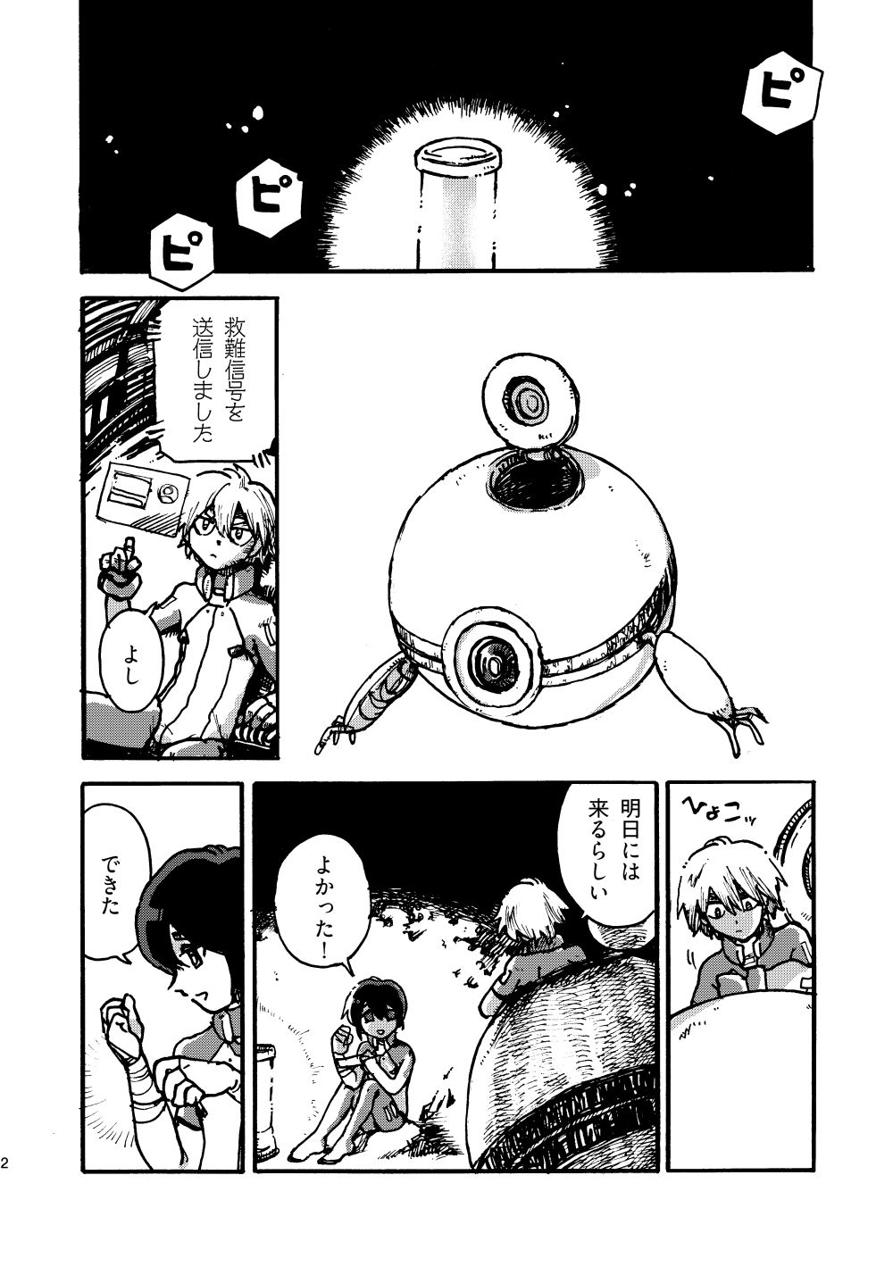 閃光観測