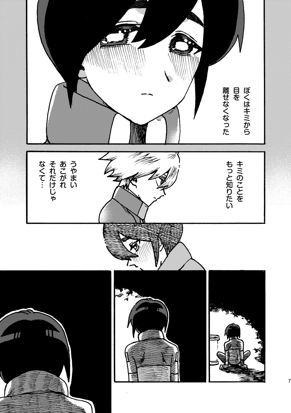 閃光観測