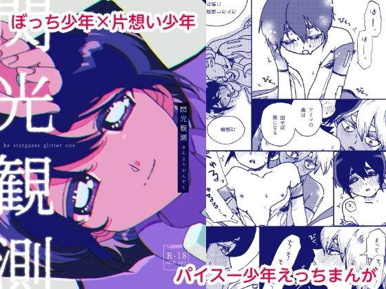 閃光観測