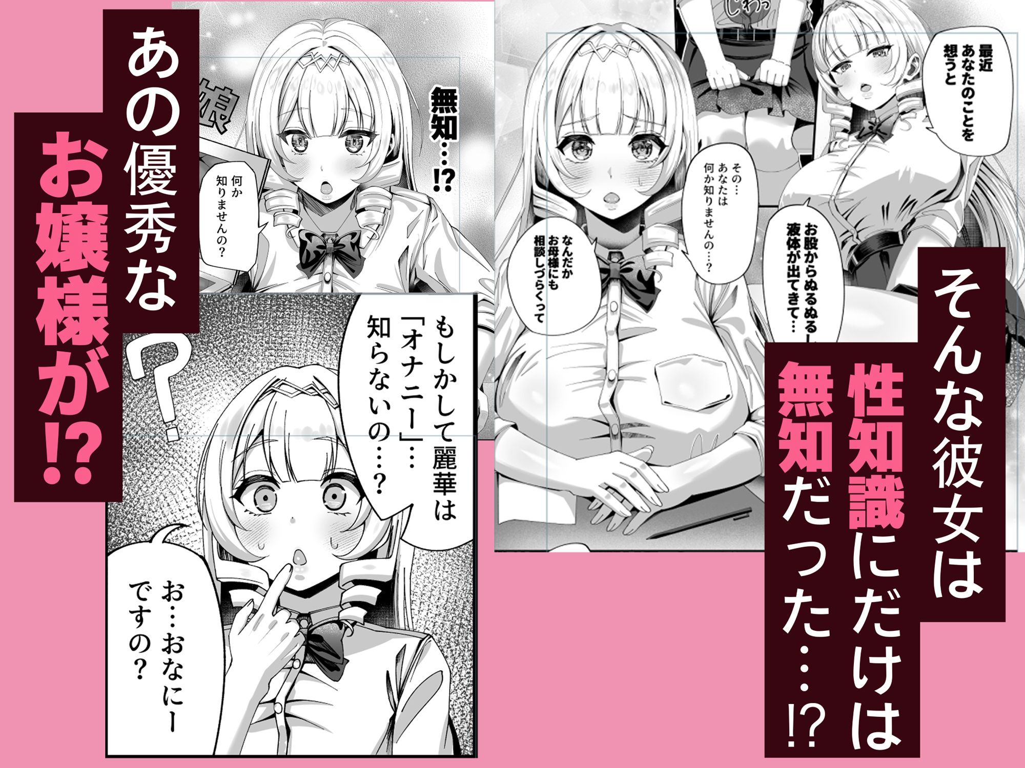 性知識にだけ無知すぎるお嬢様