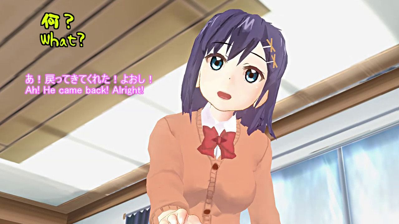 絶対安全交尾11