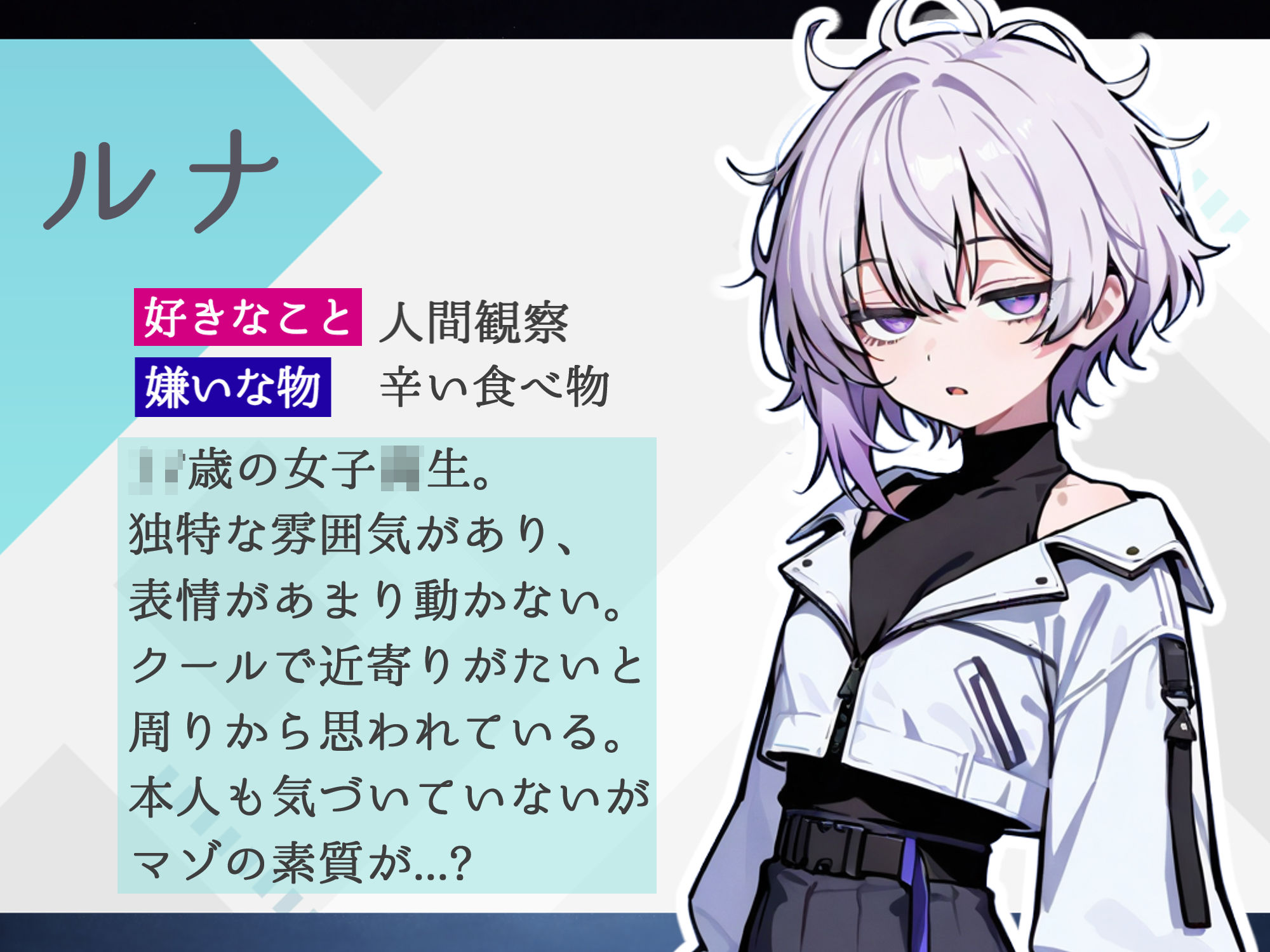 ハメ撮り日記 不思議少女との30日間