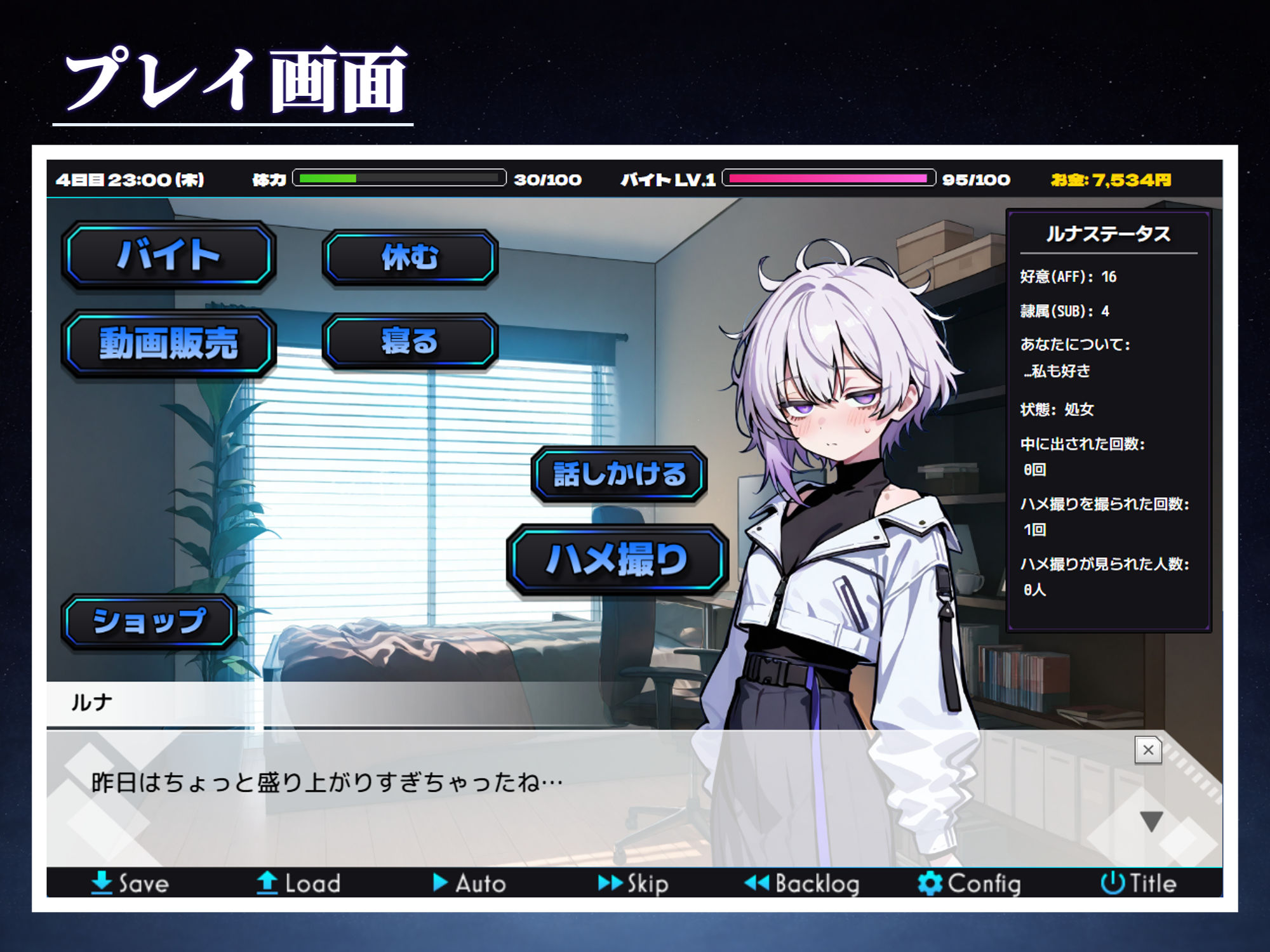 ハメ撮り日記 不思議少女との30日間