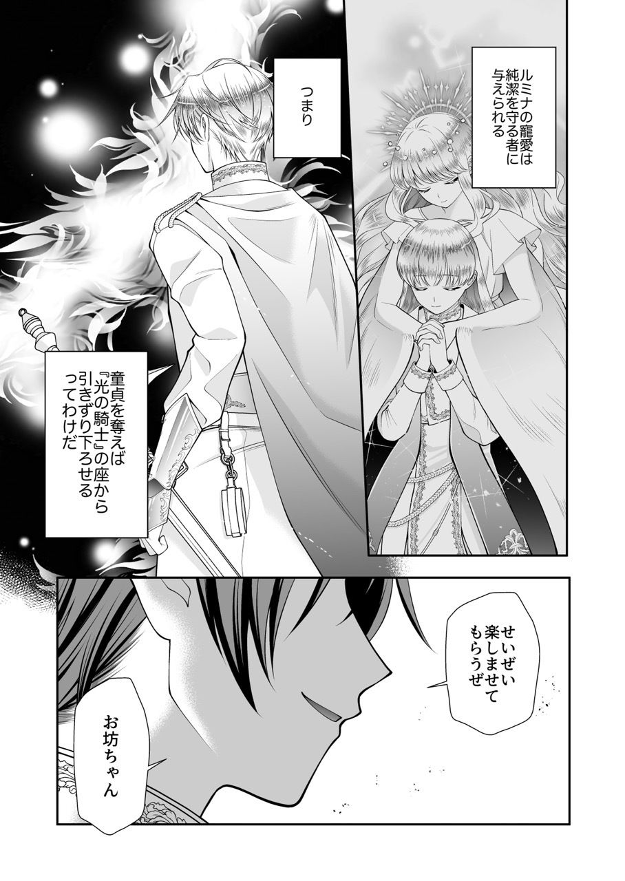 光の騎士を貶める