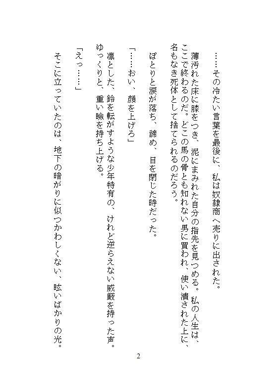 いらない子の私を拾ったのは、実験好きの第七皇子でした。〜特注器具でクリトリスを責められ、秘儀の書通りに連続絶頂させられています〜