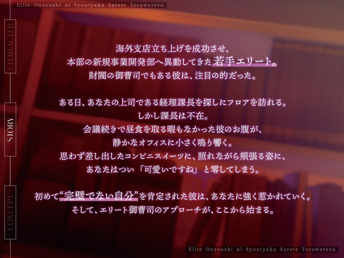 エリート御曹司に執着されて囚われる