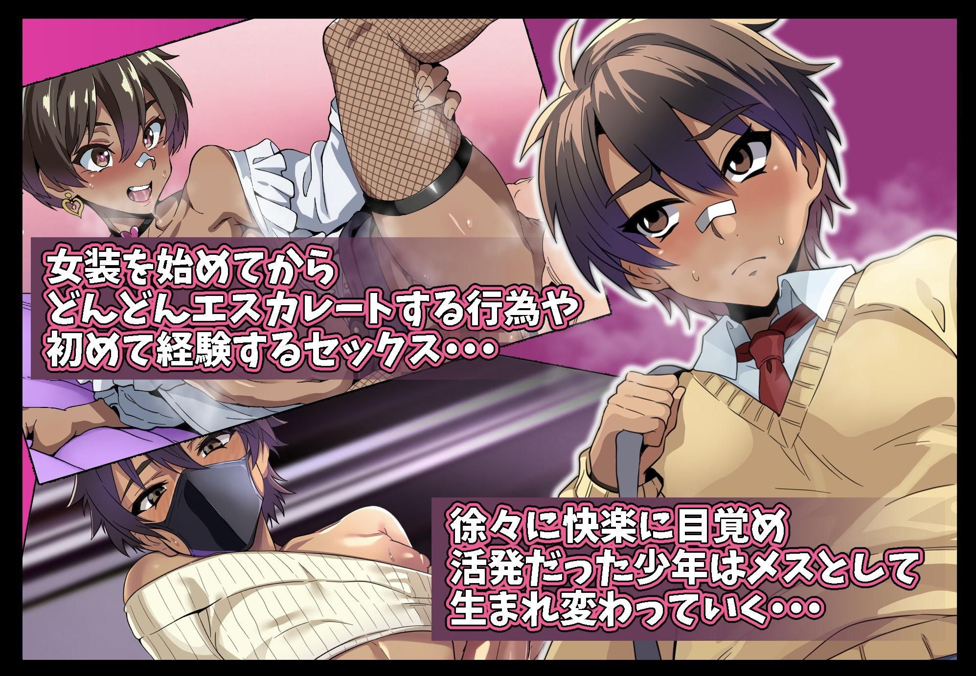 褐色少年女装日誌 ボクが女装を始めてからの30日間