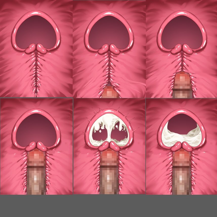膣内断面図素材