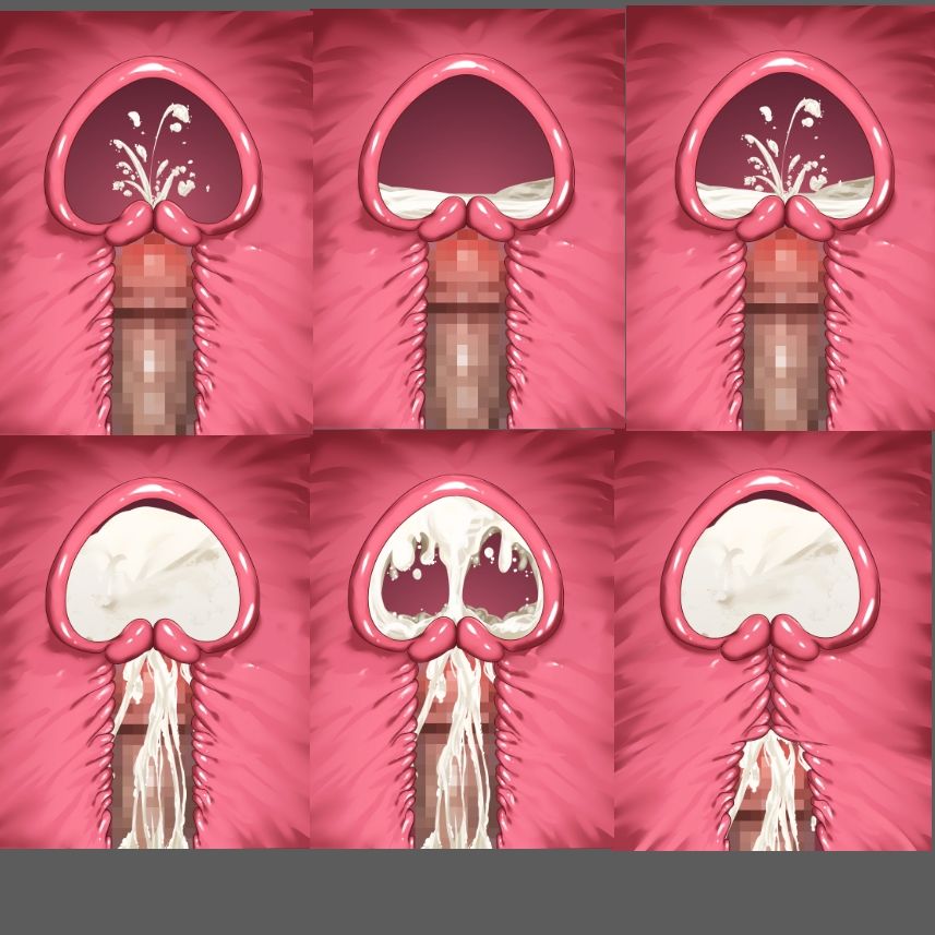 膣内断面図素材