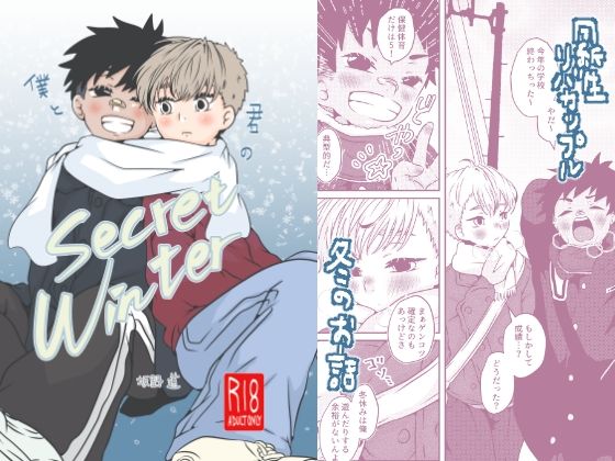 僕と君のSecretWinter
